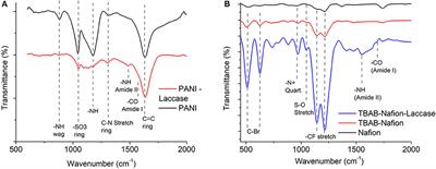 Laccase Immobilization Strategies for Application as a Cathode Catalyst in Microbial Fuel Cells for Azo Dye Decolourization